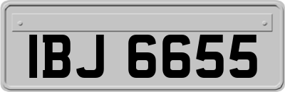 IBJ6655