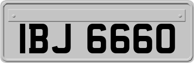 IBJ6660