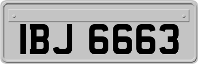 IBJ6663