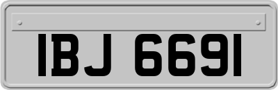 IBJ6691