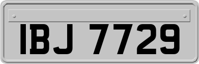 IBJ7729