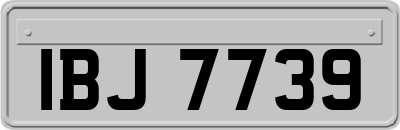 IBJ7739