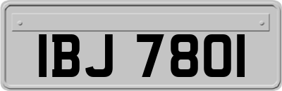 IBJ7801