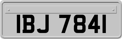 IBJ7841