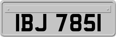 IBJ7851