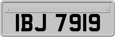 IBJ7919