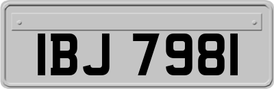 IBJ7981