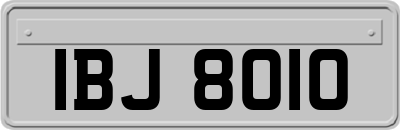 IBJ8010