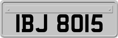 IBJ8015