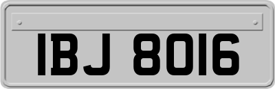 IBJ8016