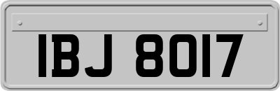 IBJ8017