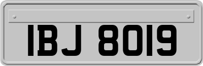 IBJ8019