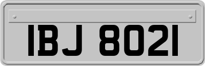 IBJ8021