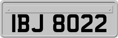 IBJ8022