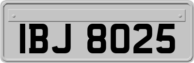 IBJ8025