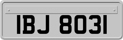 IBJ8031