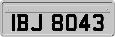 IBJ8043