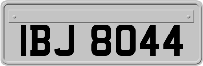 IBJ8044