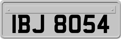 IBJ8054