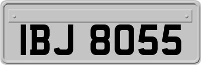 IBJ8055