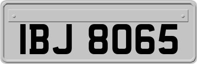 IBJ8065