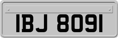 IBJ8091