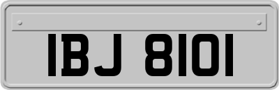 IBJ8101