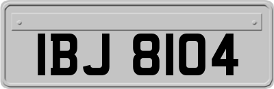 IBJ8104