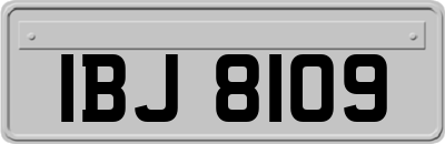 IBJ8109