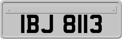 IBJ8113