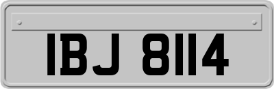 IBJ8114