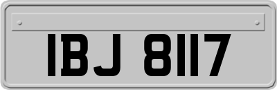 IBJ8117