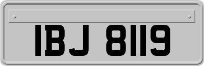 IBJ8119