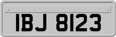 IBJ8123