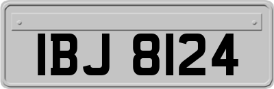 IBJ8124