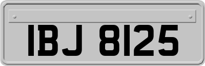 IBJ8125