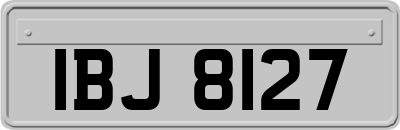 IBJ8127