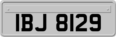 IBJ8129