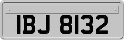 IBJ8132