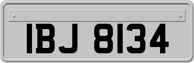 IBJ8134