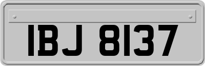 IBJ8137