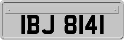 IBJ8141