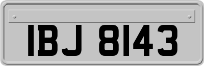 IBJ8143