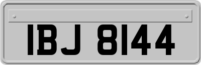 IBJ8144