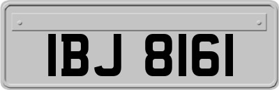 IBJ8161