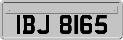 IBJ8165