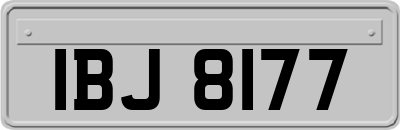 IBJ8177