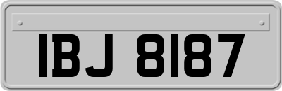 IBJ8187