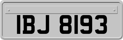 IBJ8193