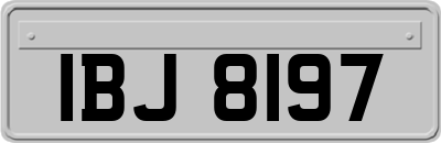 IBJ8197